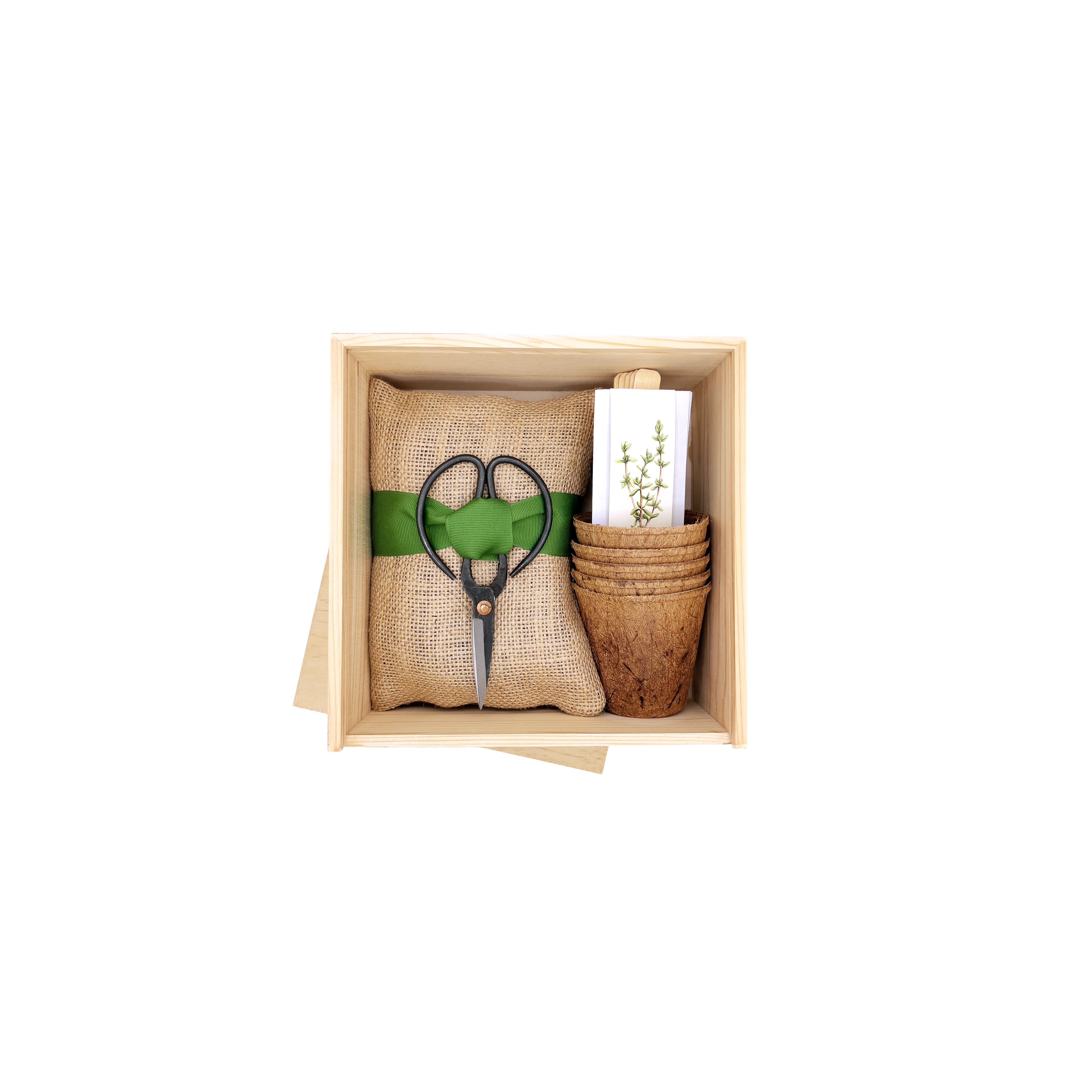 NEW Culinary Herb Garden Box | Thoughtful Summer Herb Kit