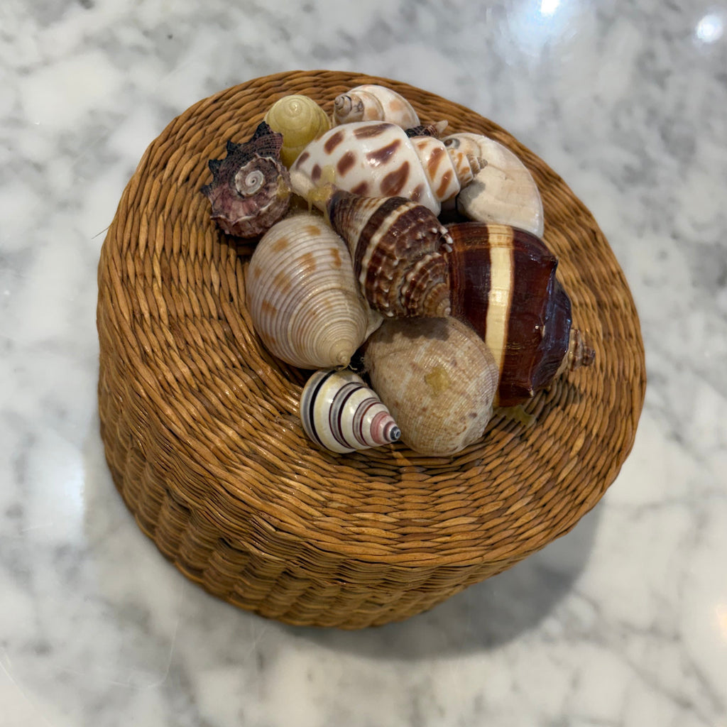 Vintage Shell Box