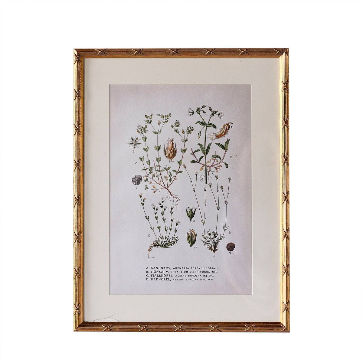 Arundel Matted Frame