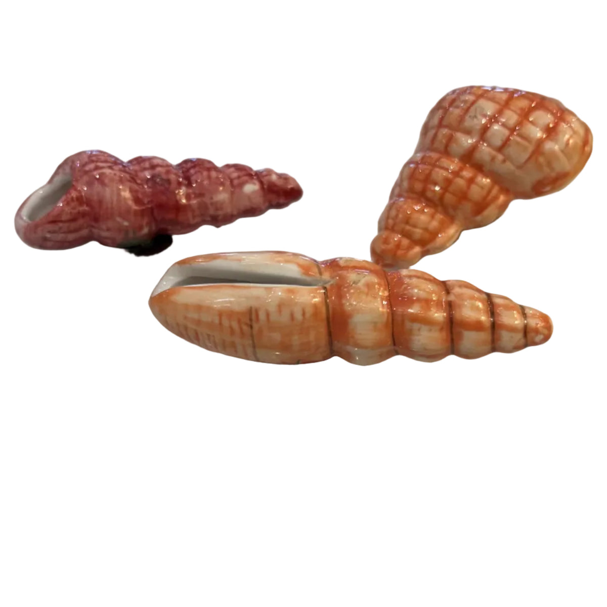 Porcelain Bisque Vintage Shell Magnets (Set of 3)