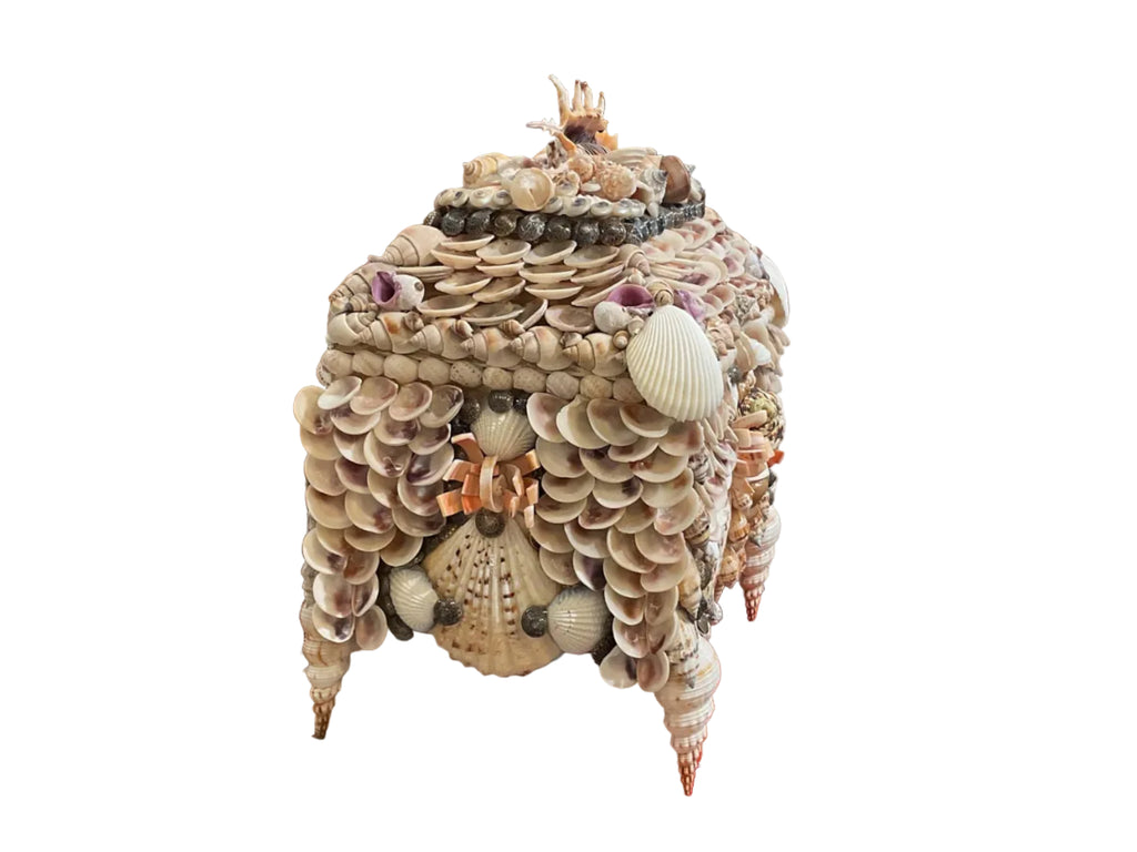 Natural Shell Box
