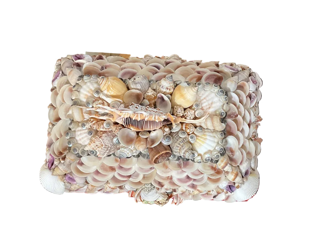 Natural Shell Box