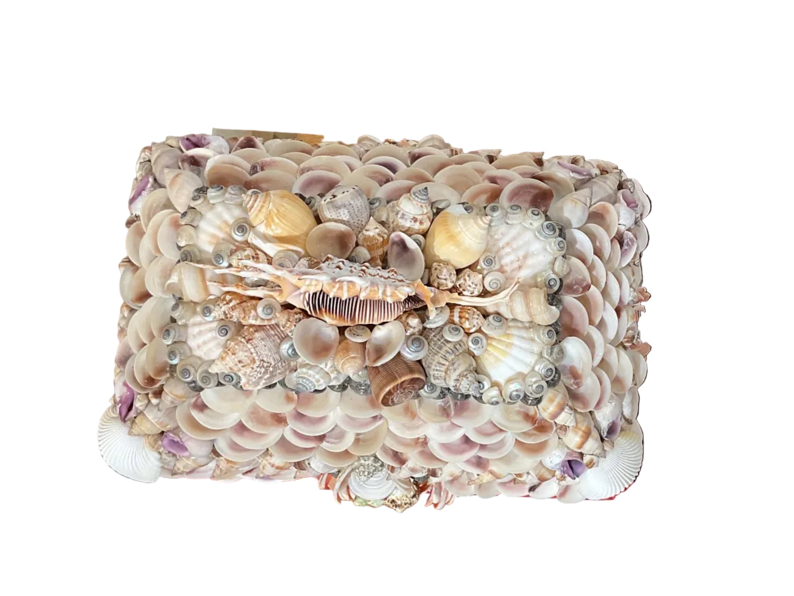 Natural Shell Box