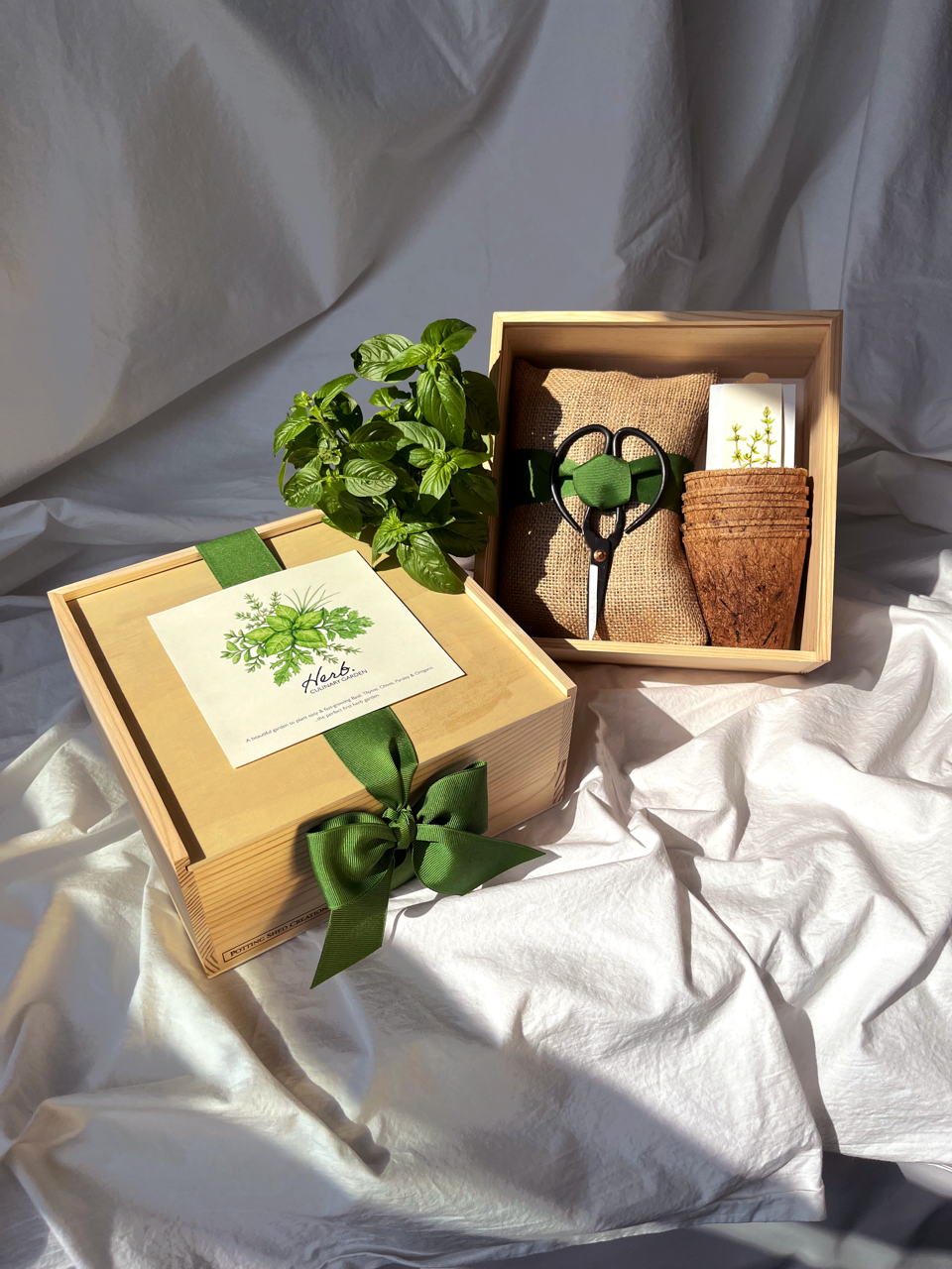 NEW Culinary Herb Garden Box | Thoughtful Summer Herb Kit