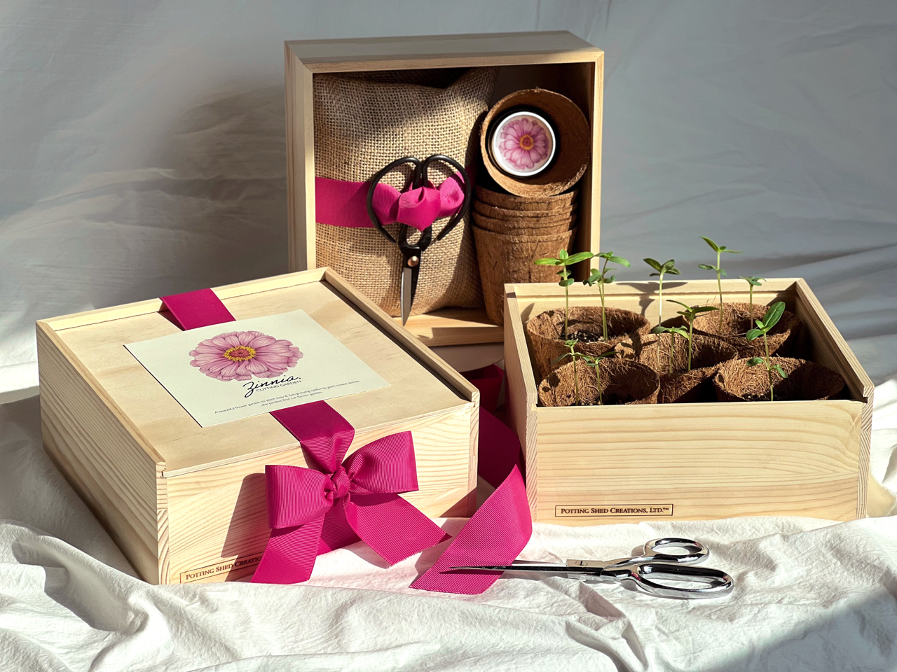 NEW Culinary Herb Garden Box | Thoughtful Summer Herb Kit