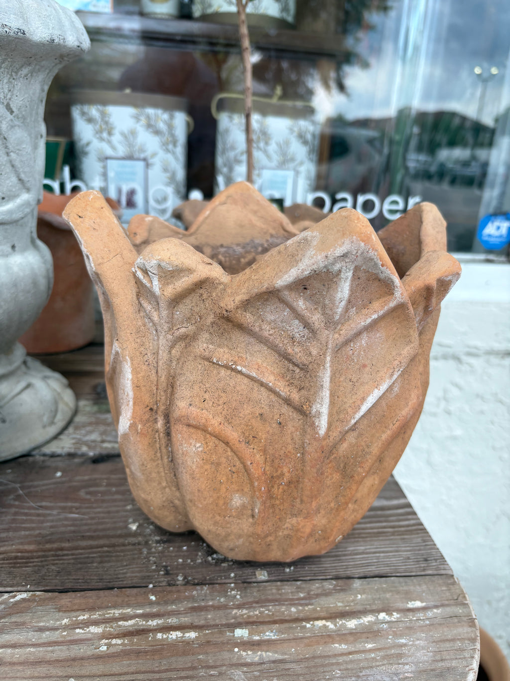 Medium Clematis Planter