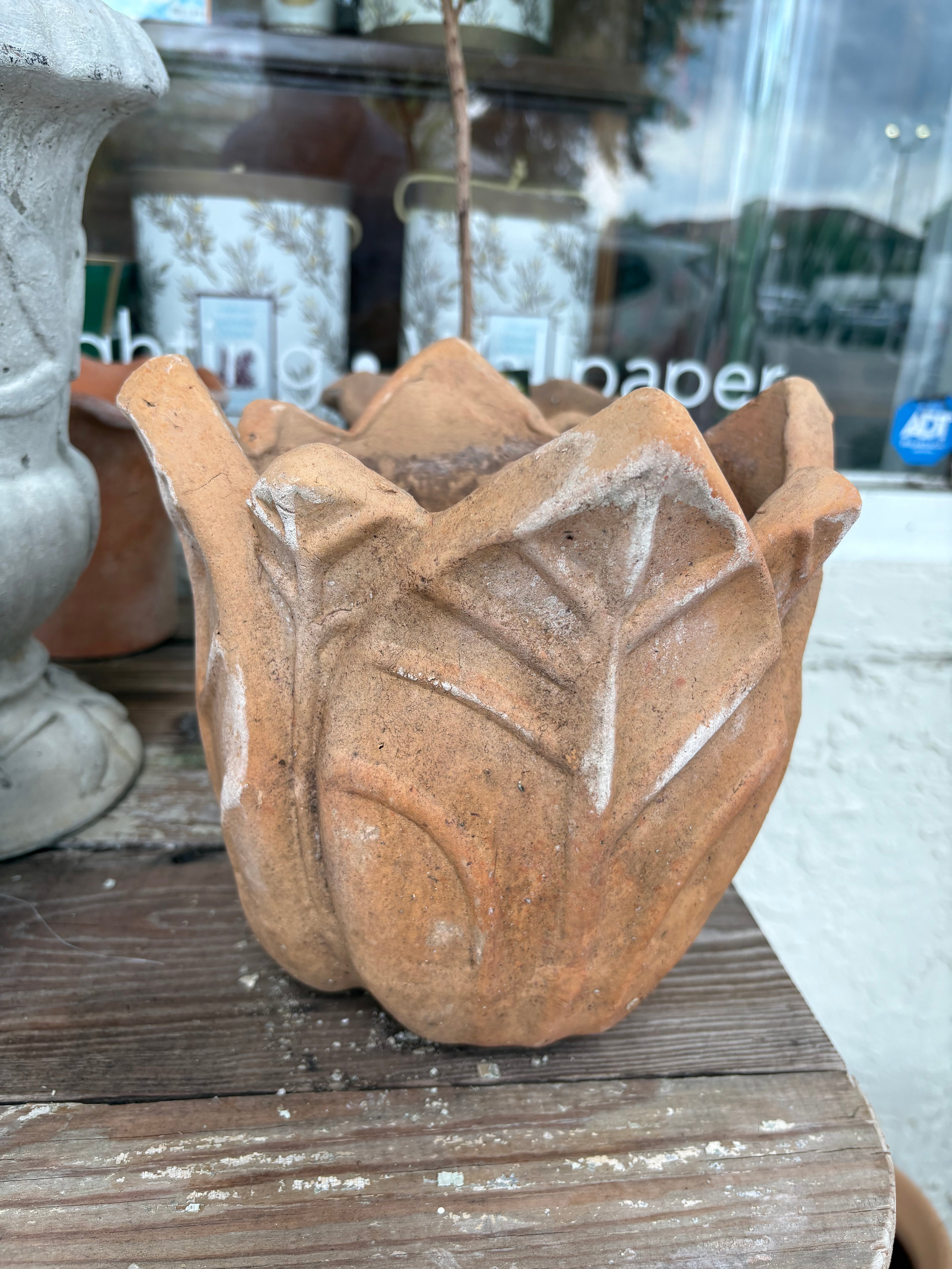 Medium Clematis Planter