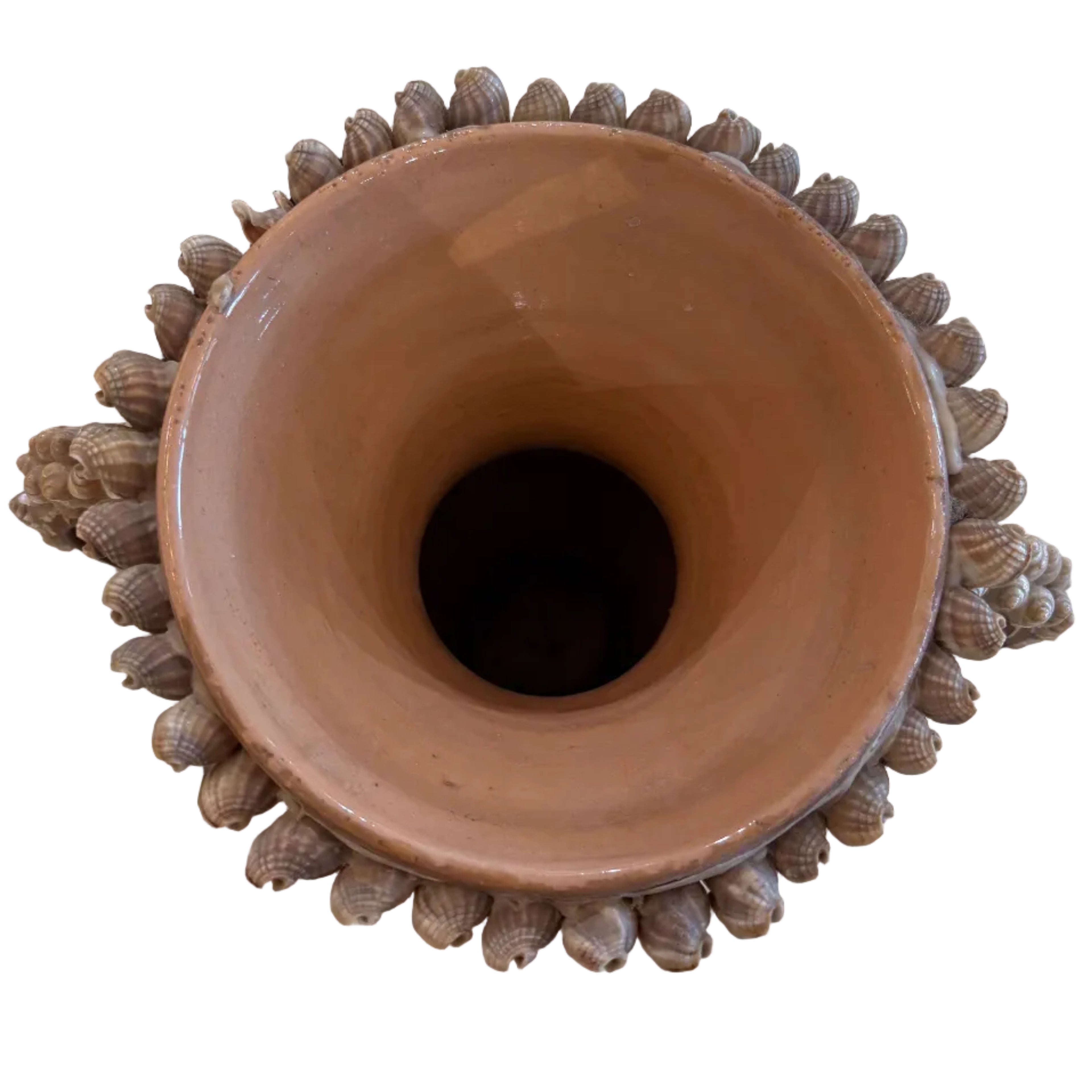 Antique Coquile Vase (from Provence)