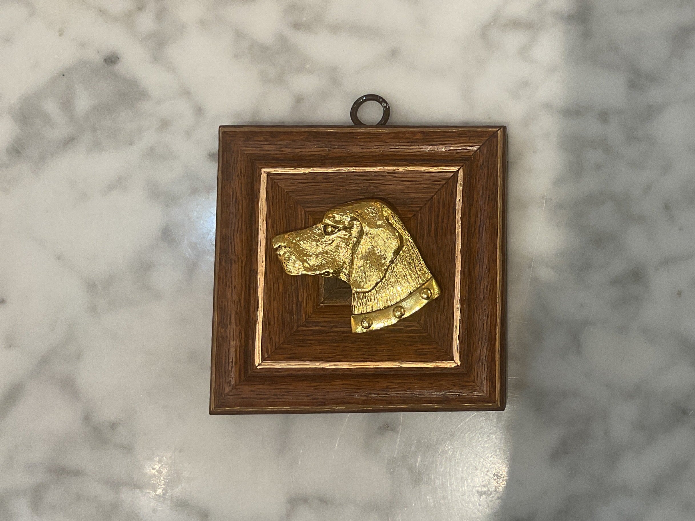 Museum Bee’s Retriever Cameo