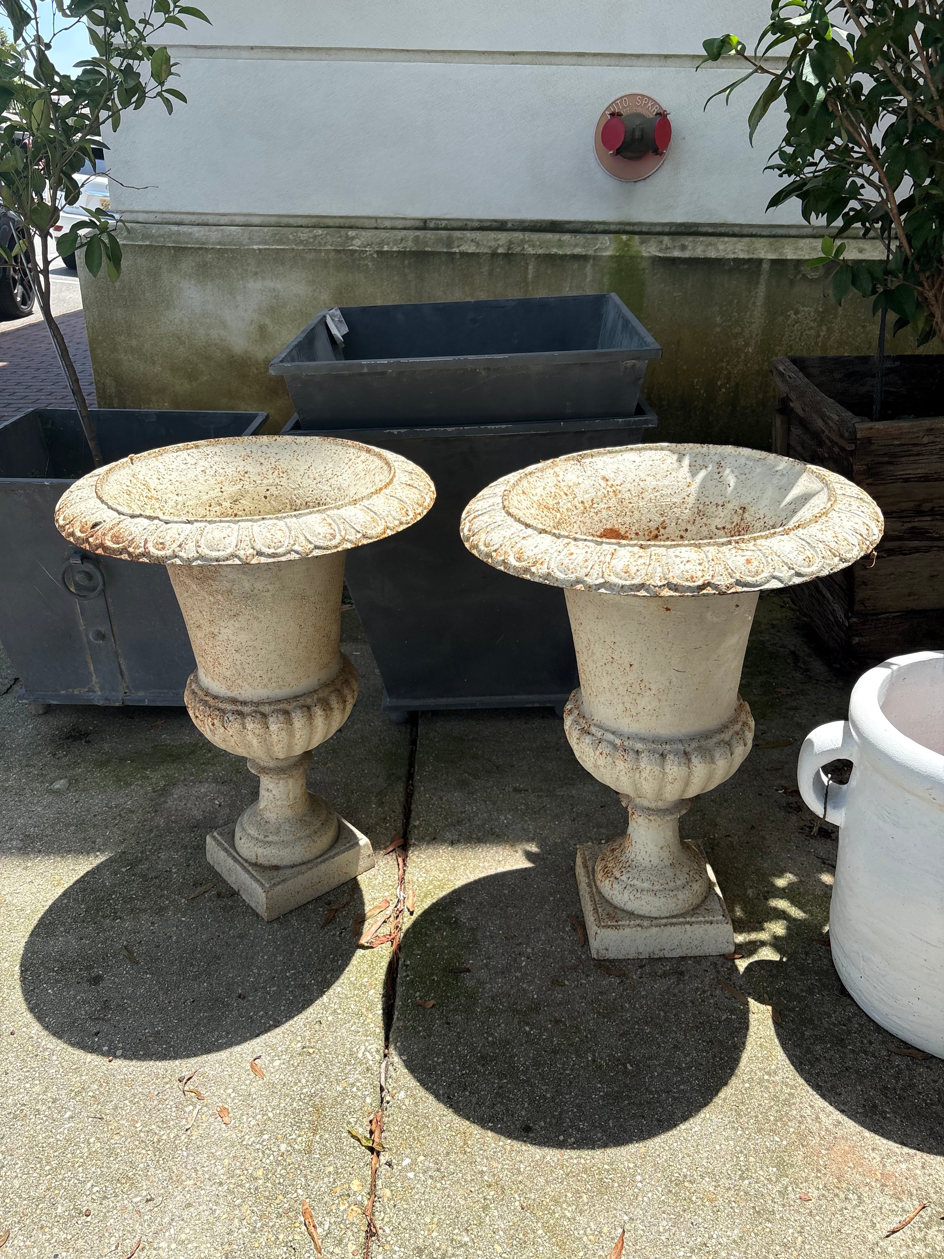 Iron Urn Planters (pair)