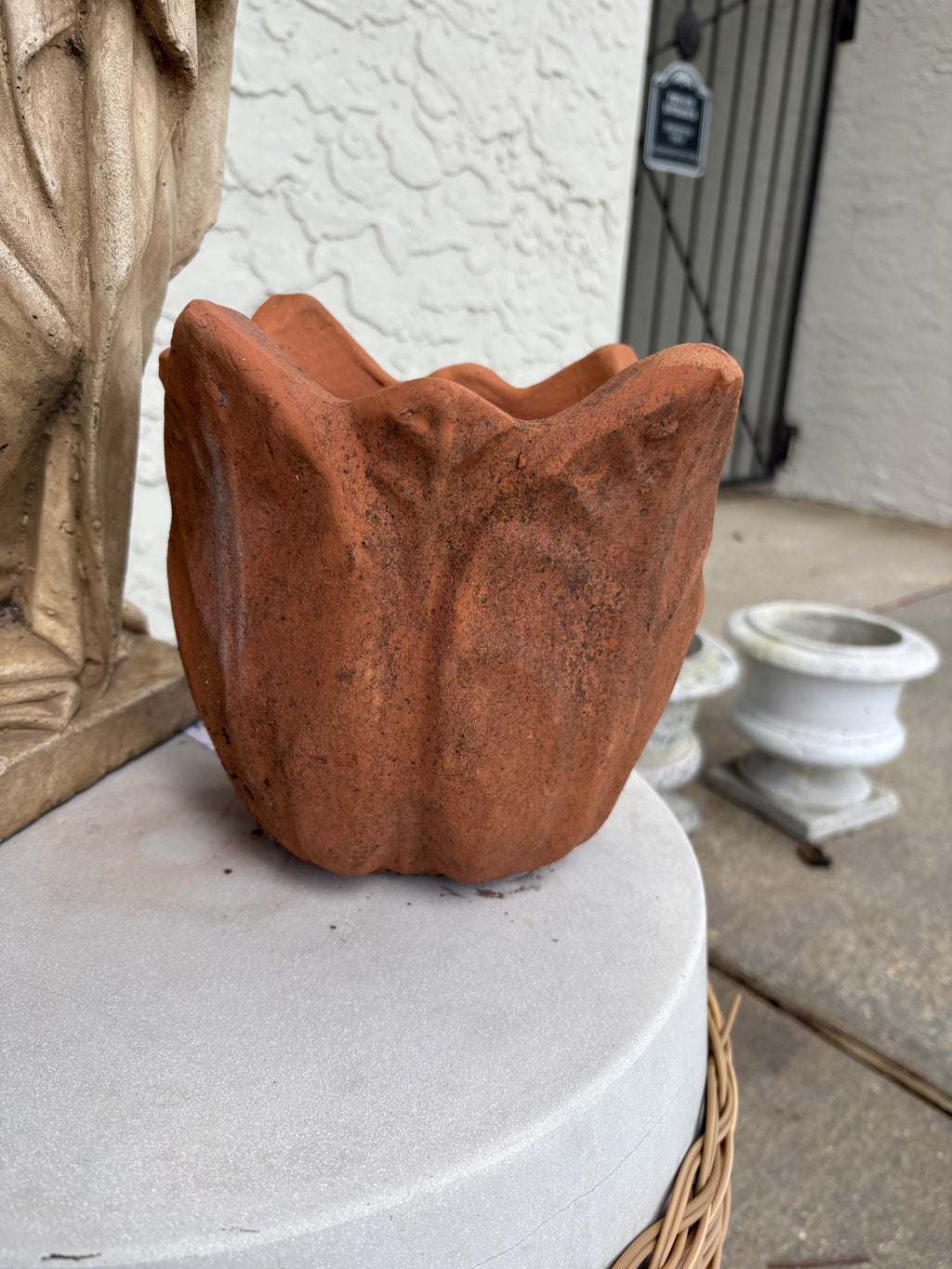 Medium Clematis Planter