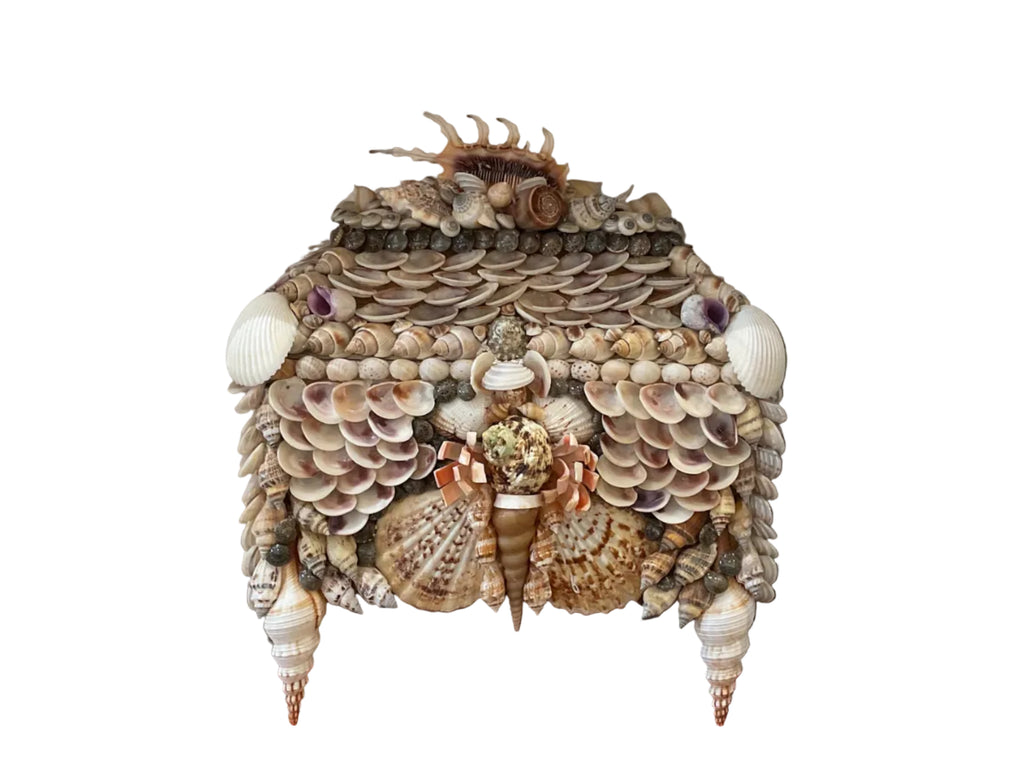 Natural Shell Box