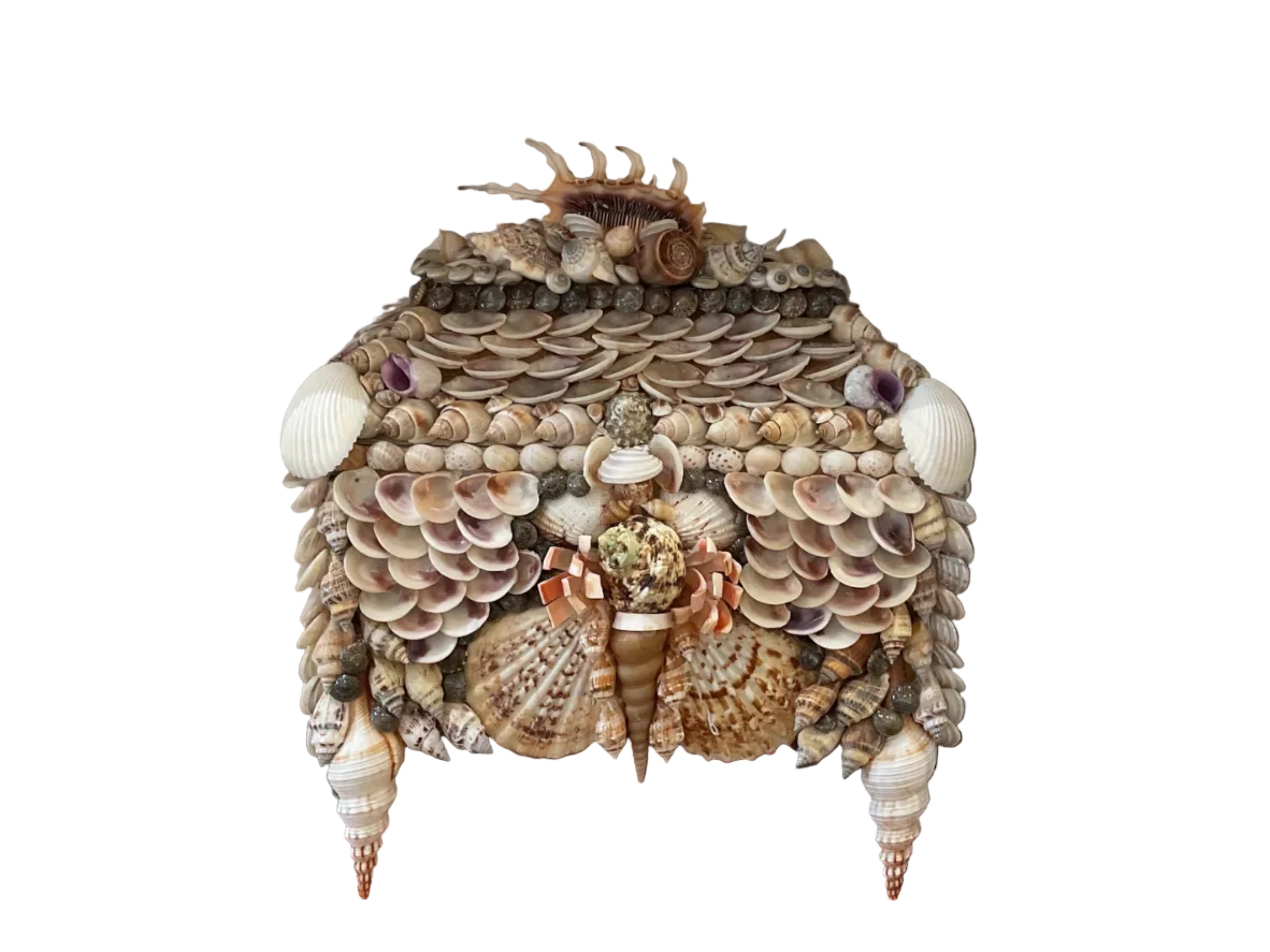 Natural Shell Box