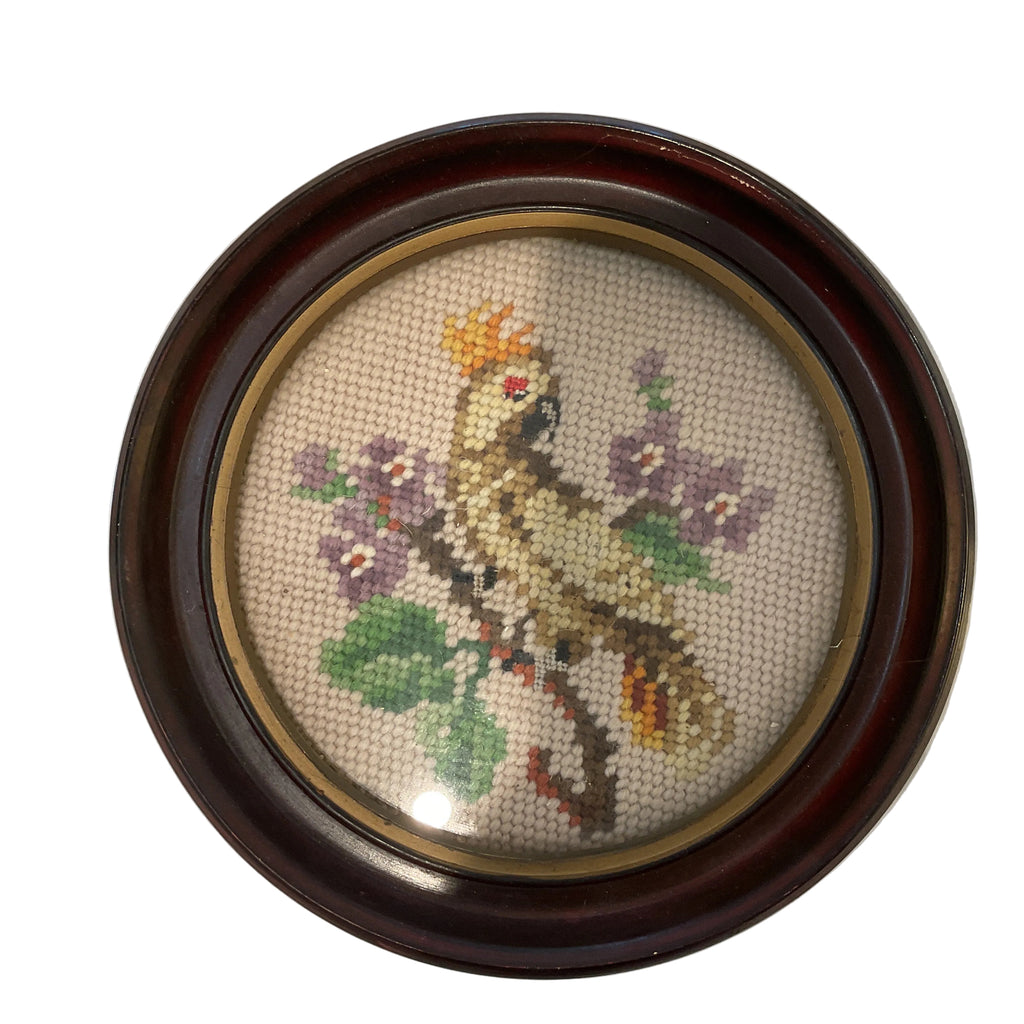 Vintage Parrot Needlepoint in frame