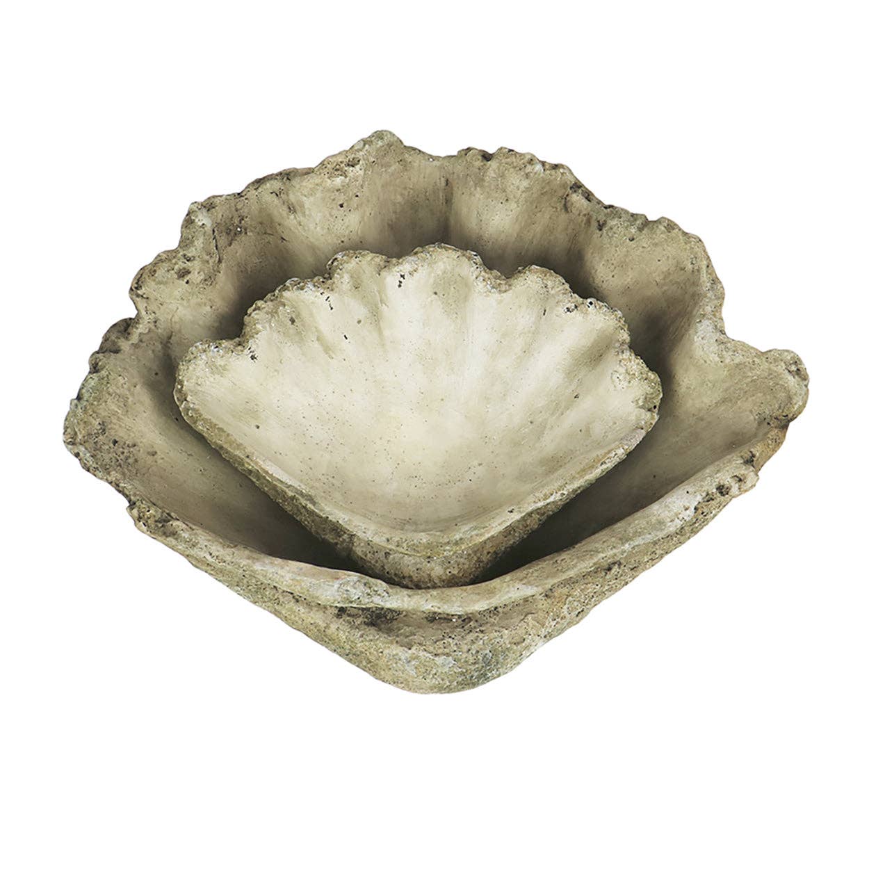 Cast Concrete Clam Shell – Towne + Beech
