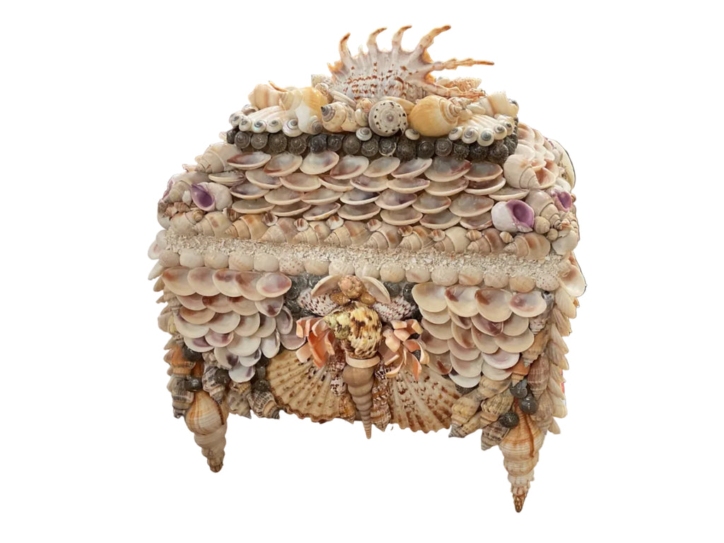 Natural Shell Box