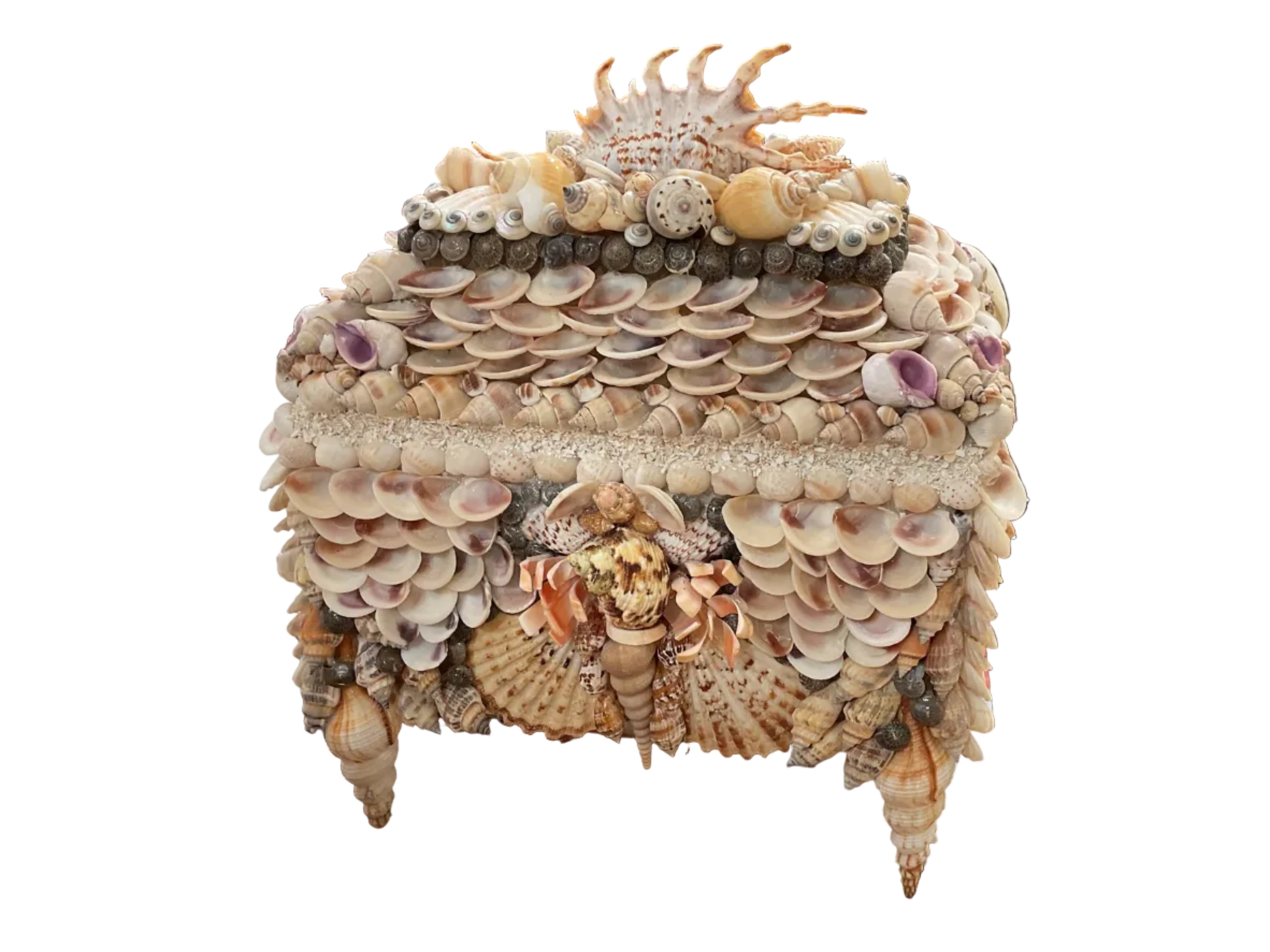 Natural Shell Box