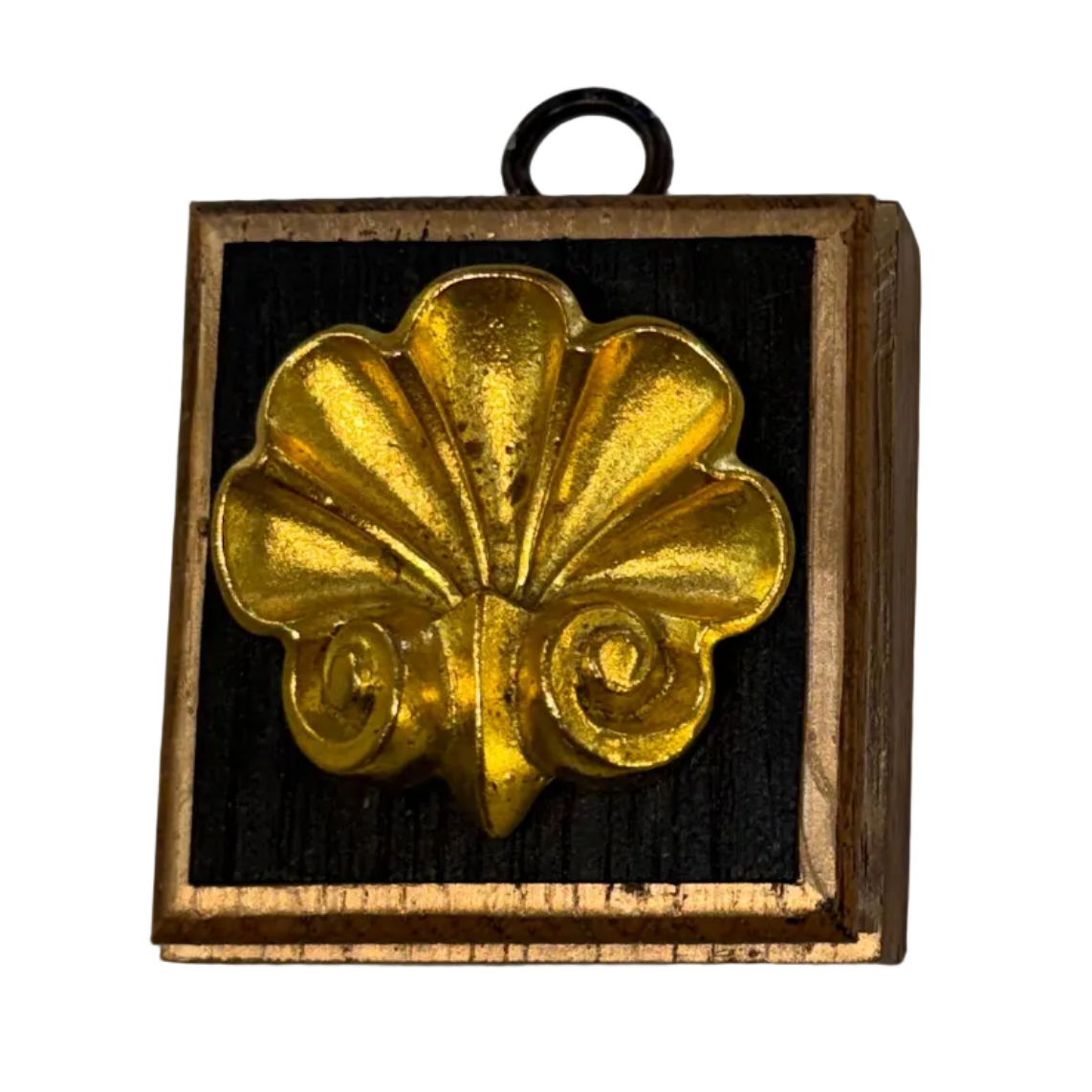 Museum Bee - Gold Scalloped Seashell