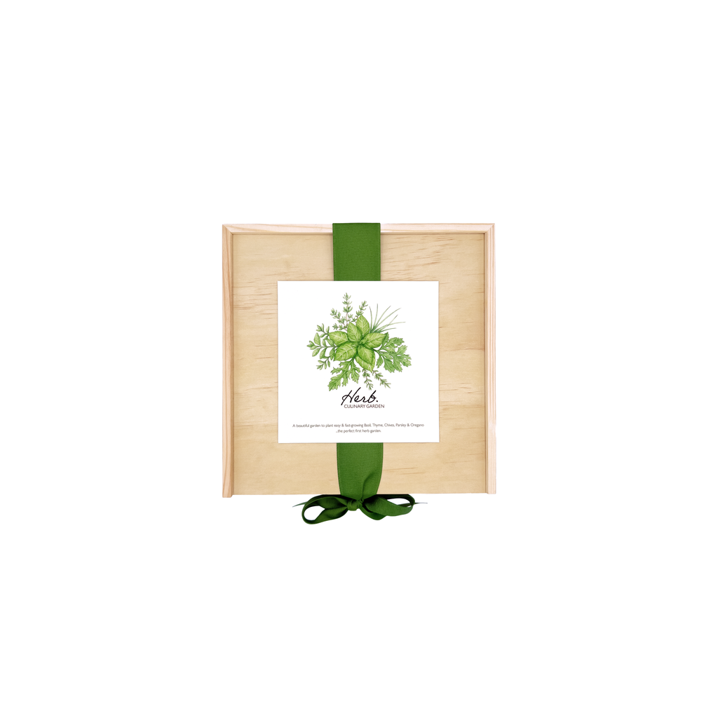 NEW Culinary Herb Garden Box | Thoughtful Summer Herb Kit