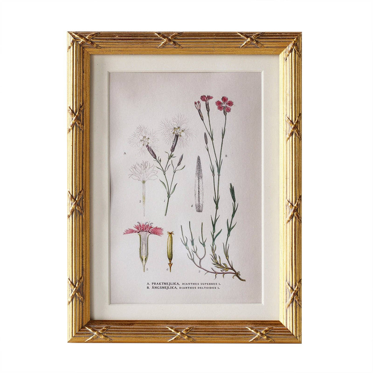 Arundel Matted Frame