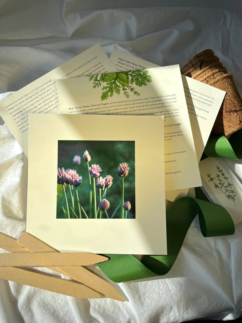 NEW Culinary Herb Garden Box | Thoughtful Summer Herb Kit