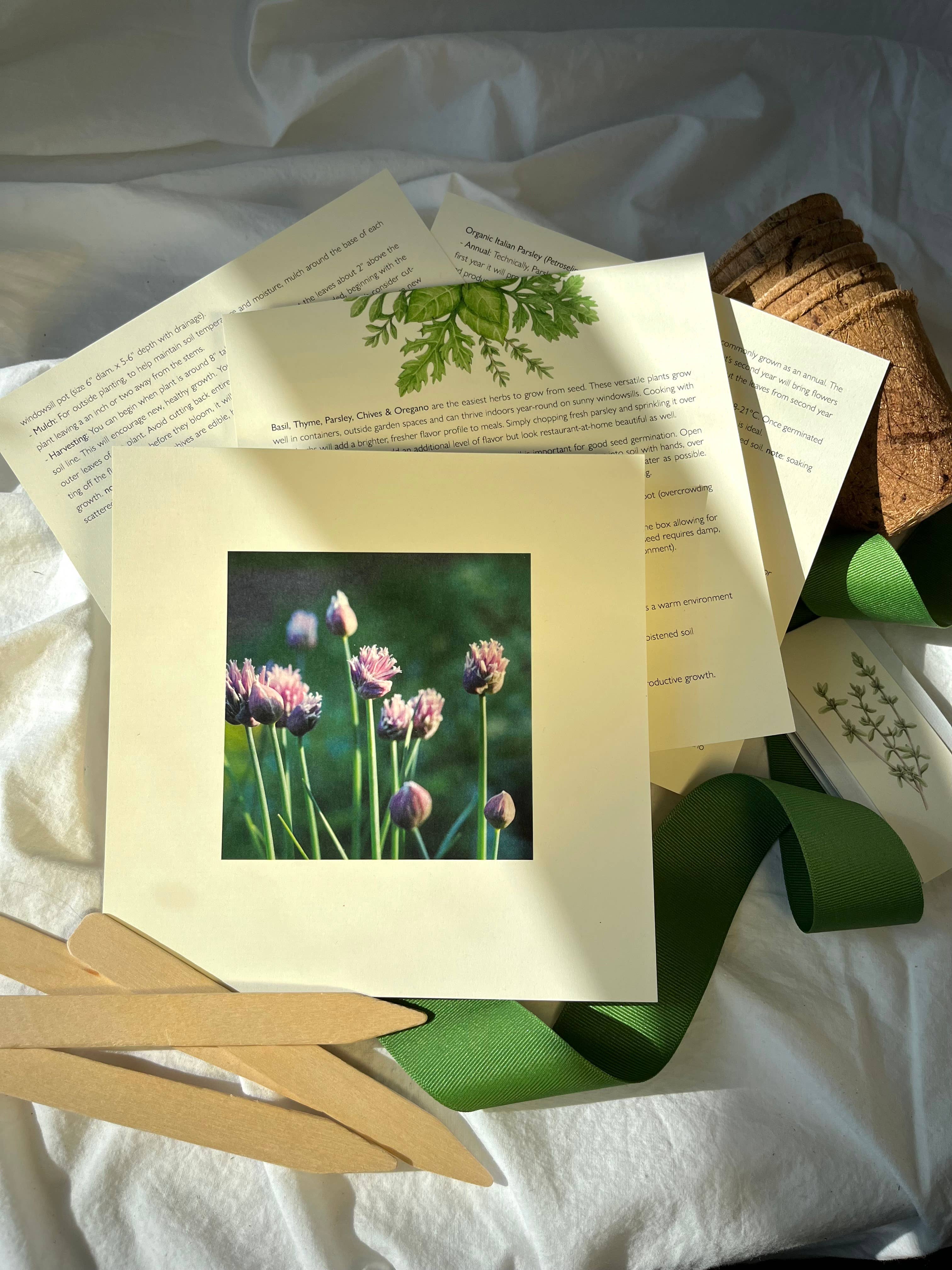 NEW Culinary Herb Garden Box | Thoughtful Summer Herb Kit